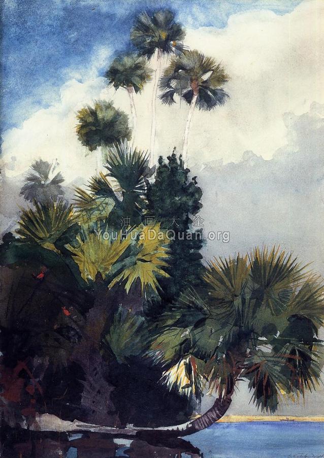 Palm Trees, Florida - 温斯洛·荷默